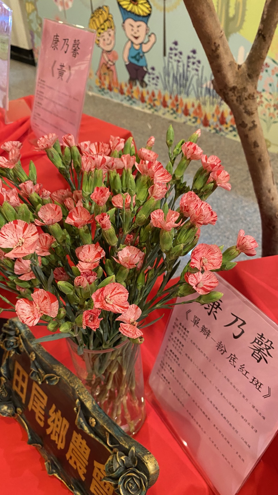 田尾鄉農會「花現田尾，馨意滿滿」康乃馨行銷記者會-8