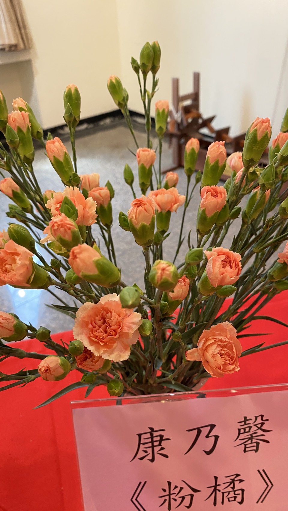 田尾鄉農會「花現田尾，馨意滿滿」康乃馨行銷記者會-9