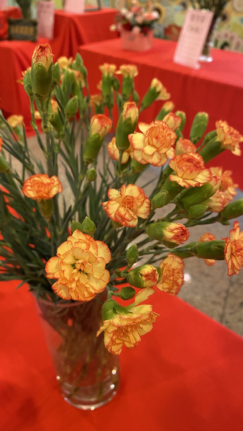 田尾鄉農會「花現田尾，馨意滿滿」康乃馨行銷記者會-10