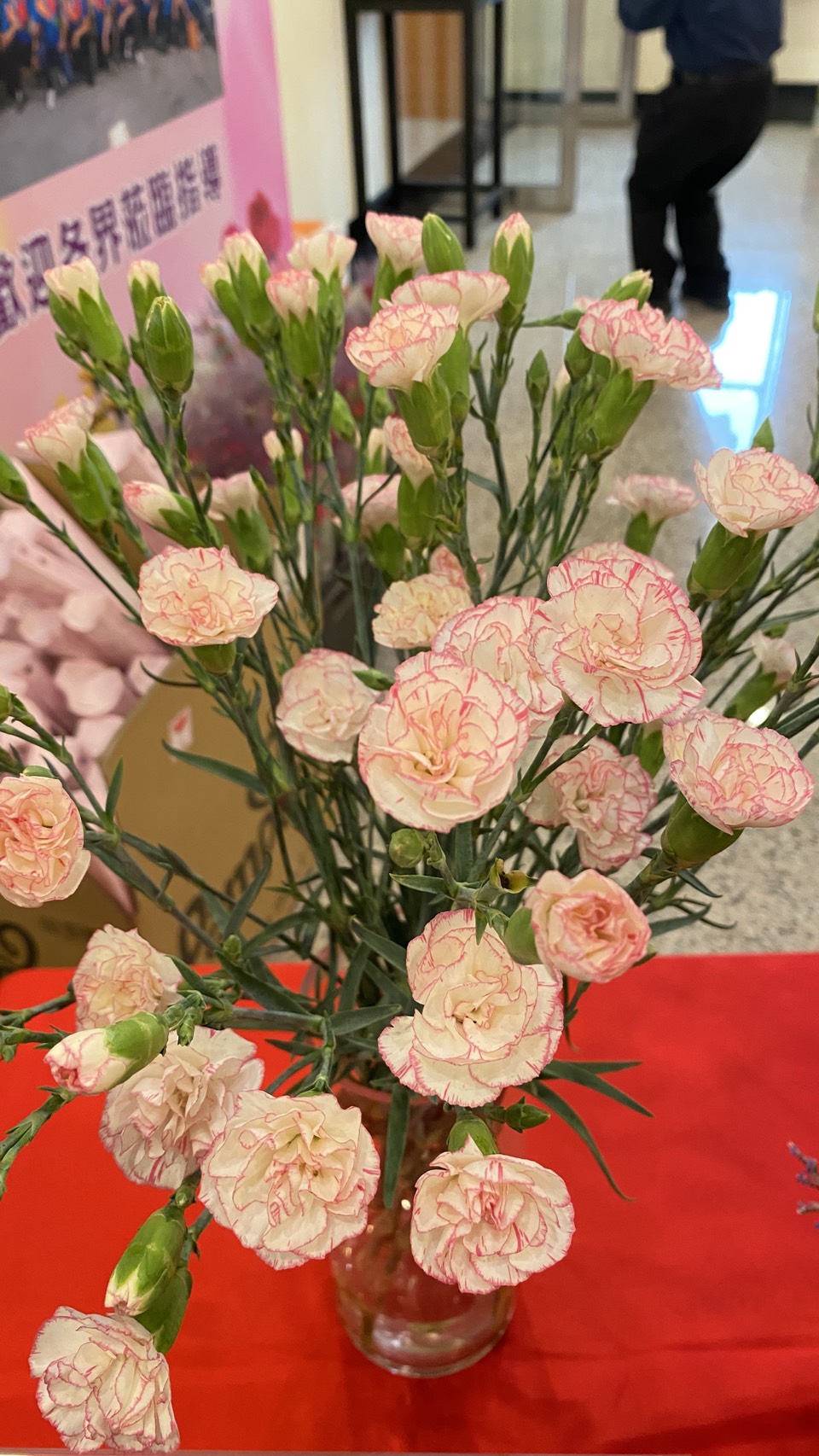 田尾鄉農會「花現田尾，馨意滿滿」康乃馨行銷記者會-13