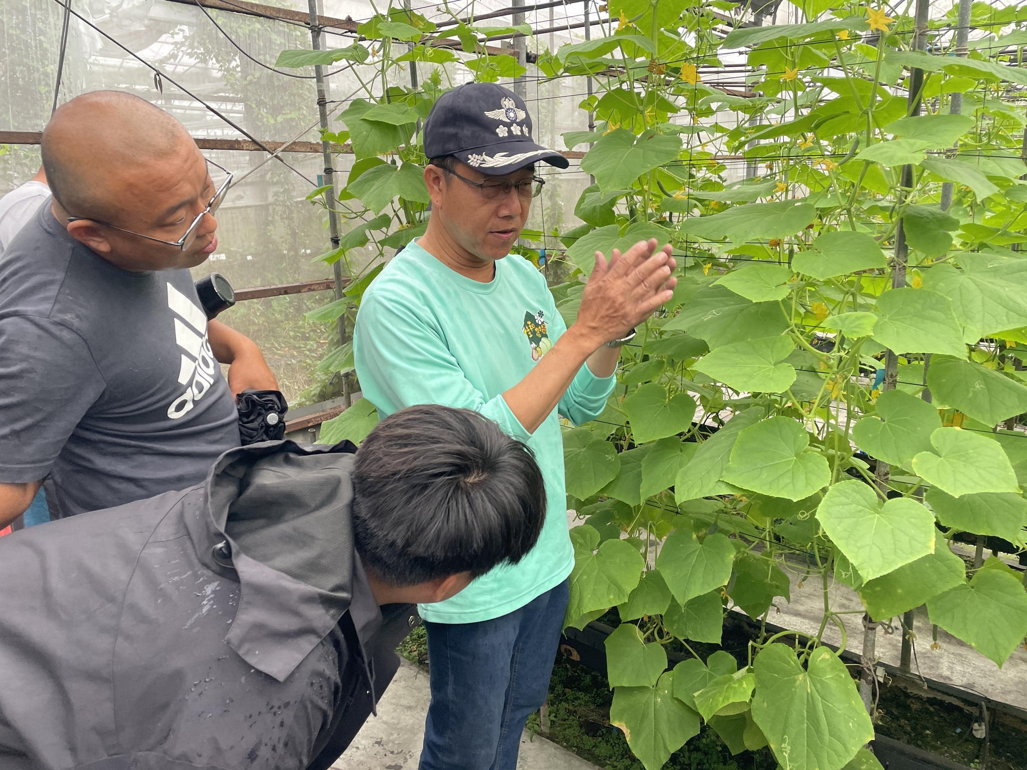 青年農民蔬菜栽培管理實務班－瓜類班－第3周-4