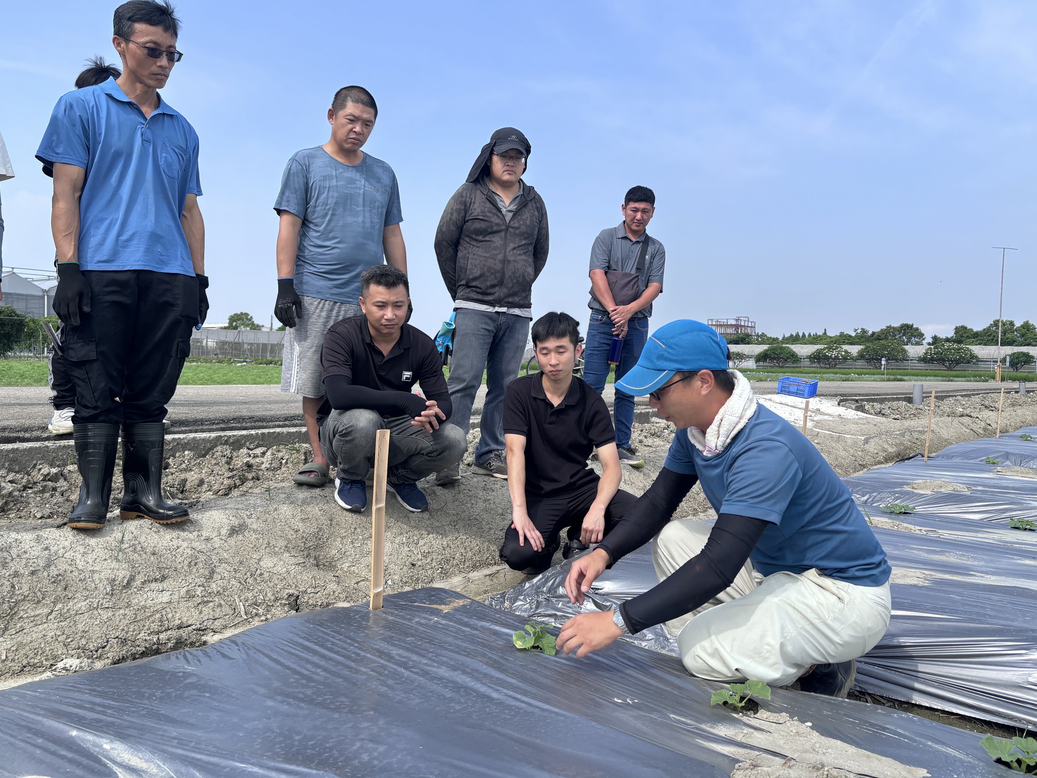 本場林哲宇助教說明露天東方甜瓜留側芽與未來植株管理之關係。
