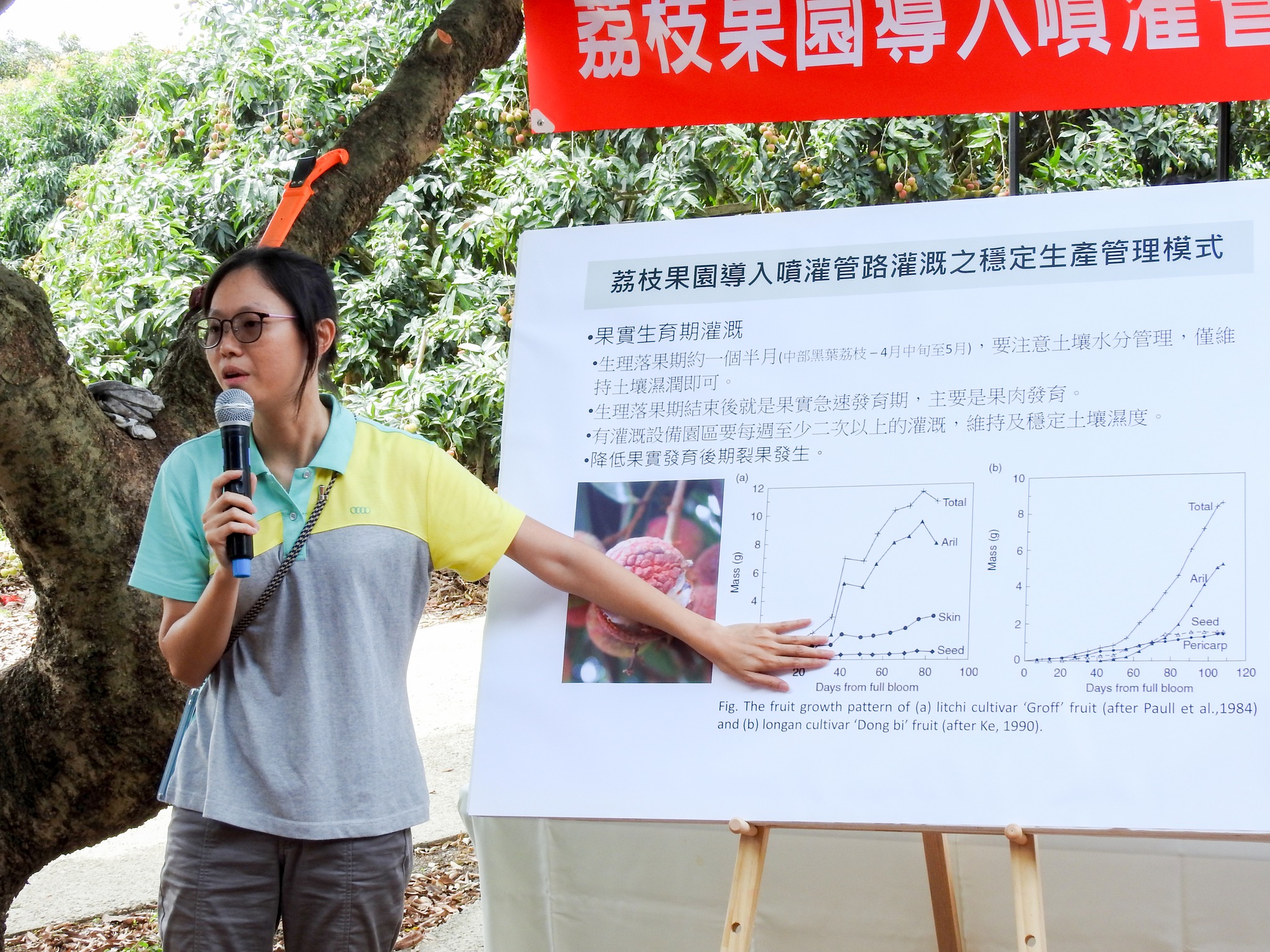 吳庭嘉助理研究員介紹「荔枝果園導入噴灌管路灌溉之穩定生產管理模式」。
