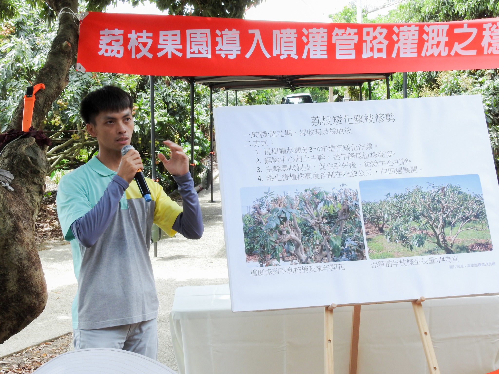 李昱錡助理研究員介紹「荔枝採收及採後整枝修剪管理」。