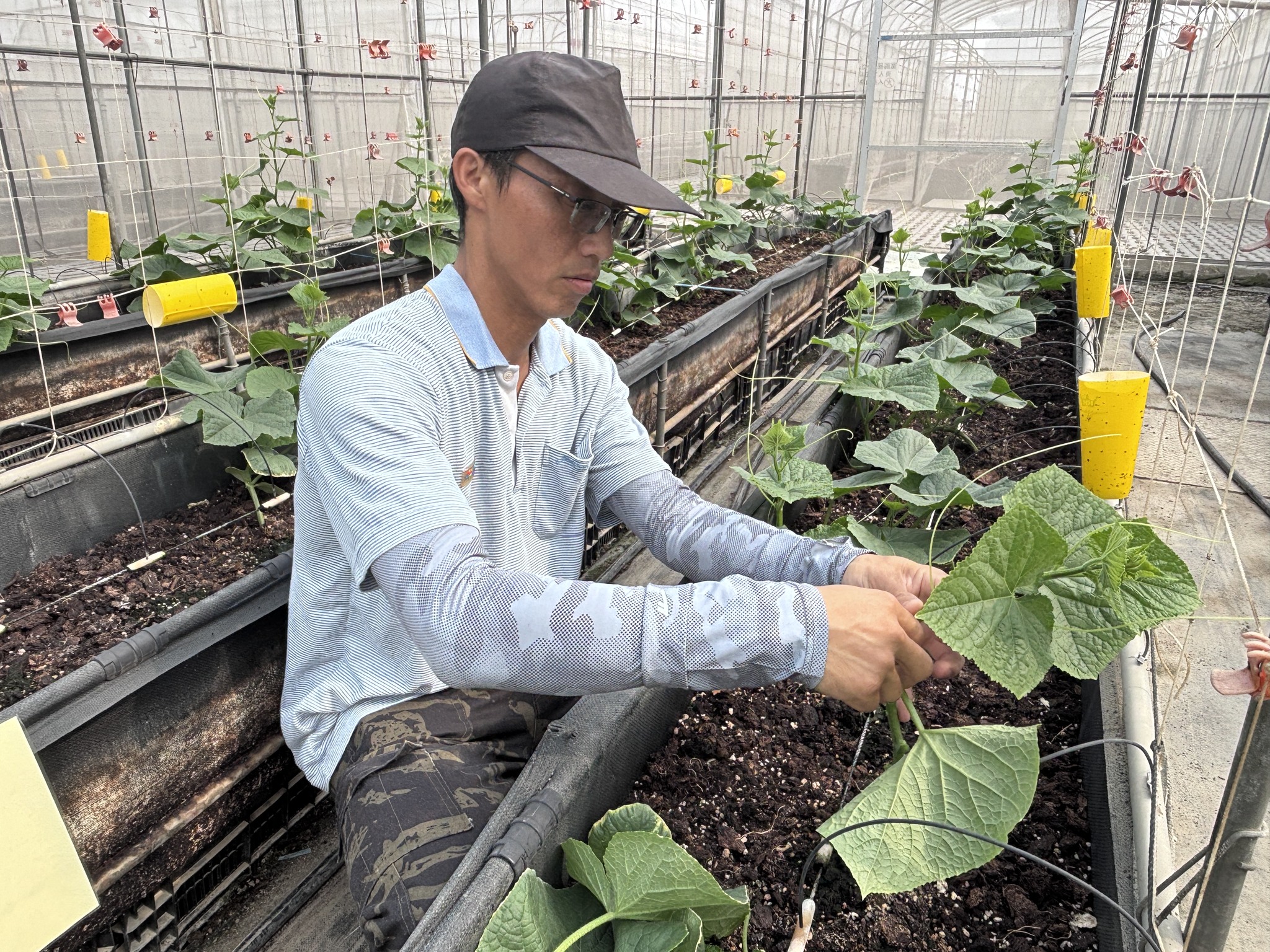 青年農民蔬菜栽培管理實務班-瓜類班-第7周-5