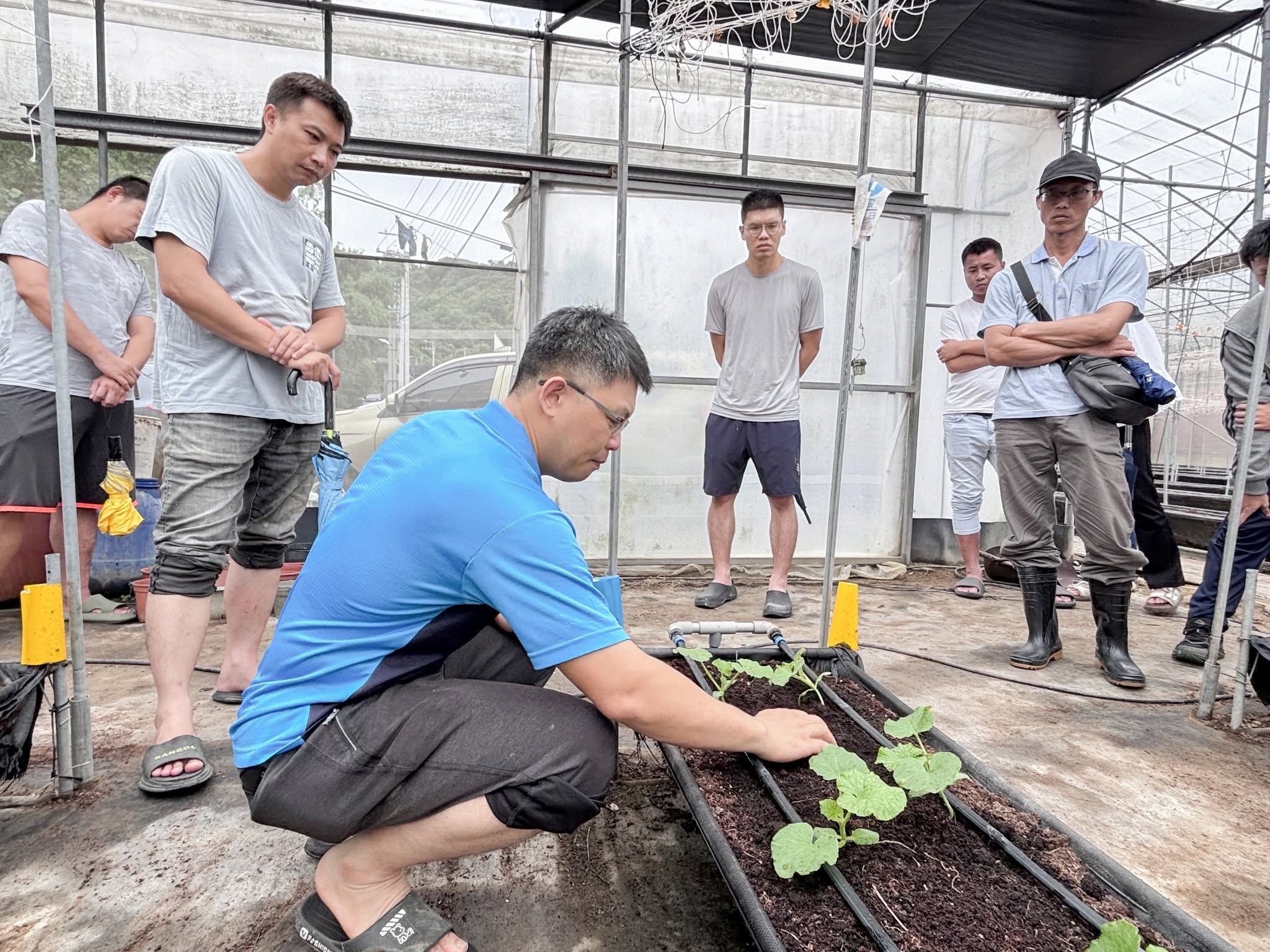 青年農民蔬菜栽培管理實務班-瓜類班-第8周-2