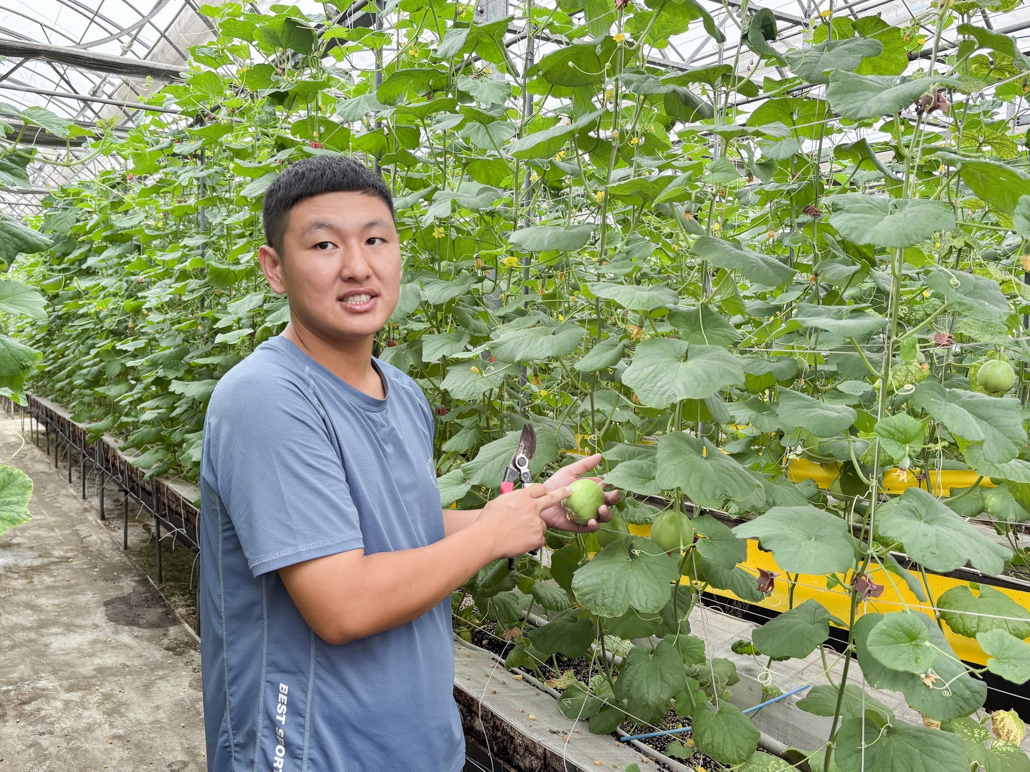 青年農民蔬菜栽培管理實務班-瓜類班-第8周-4