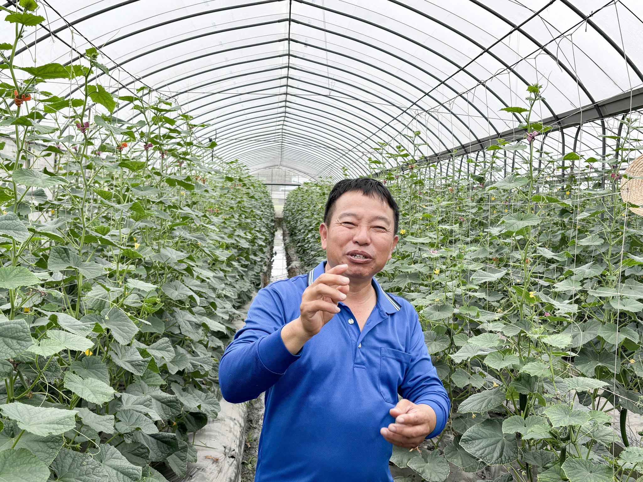 青年農民蔬菜栽培管理實務班-瓜類班-第8周-8