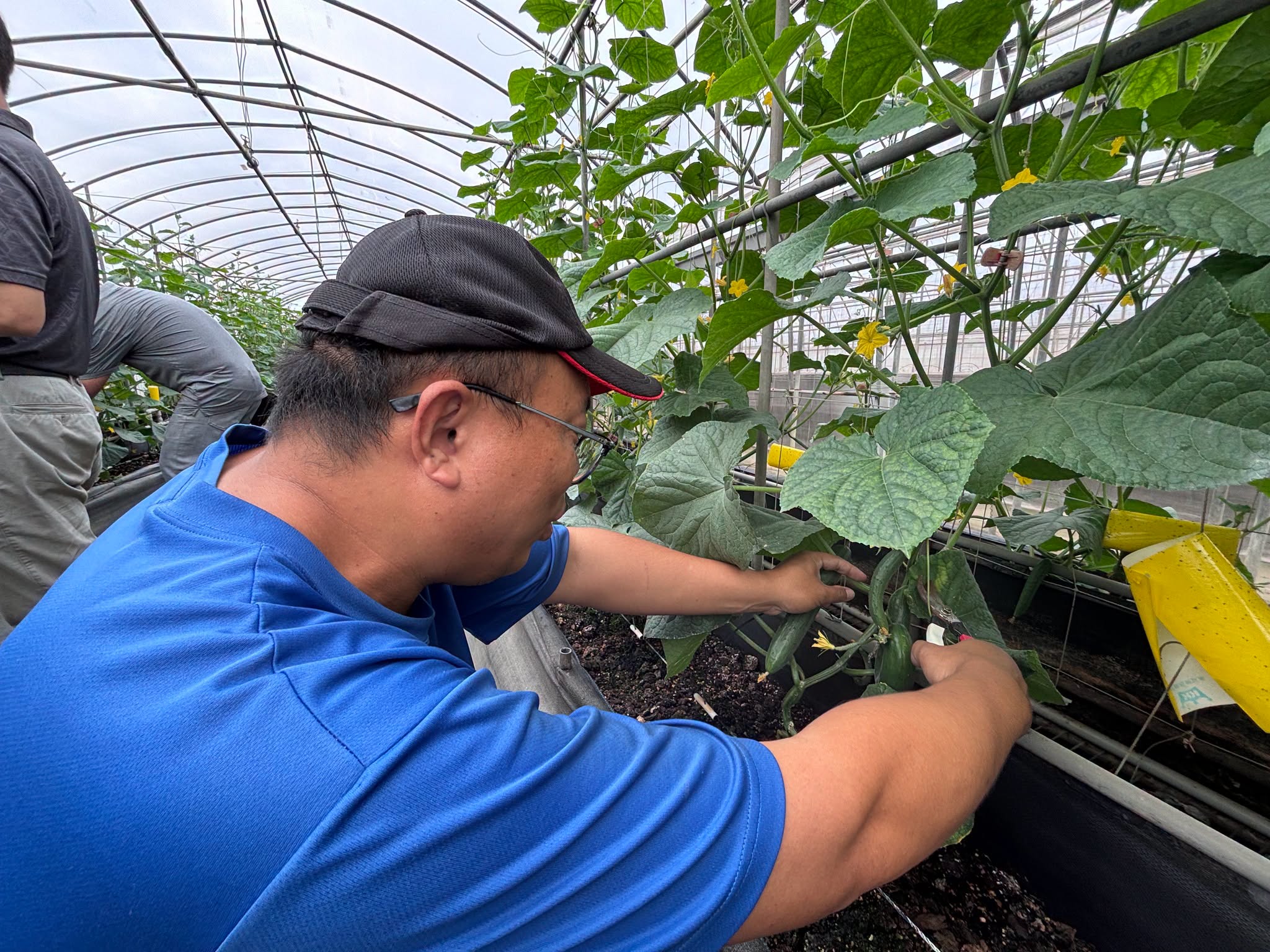 青年農民蔬菜栽培管理實務班－瓜類班－第9周-5