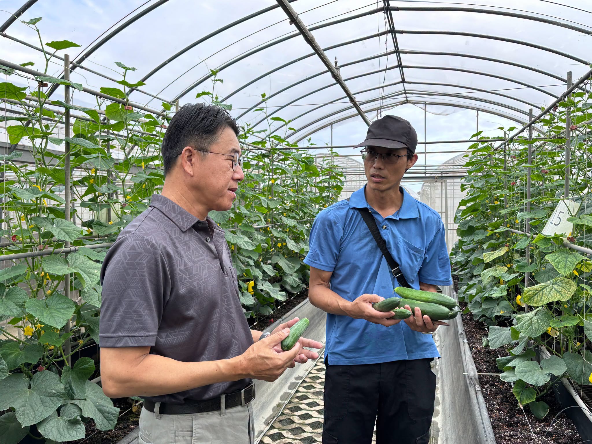 青年農民蔬菜栽培管理實務班－瓜類班－第9周-6