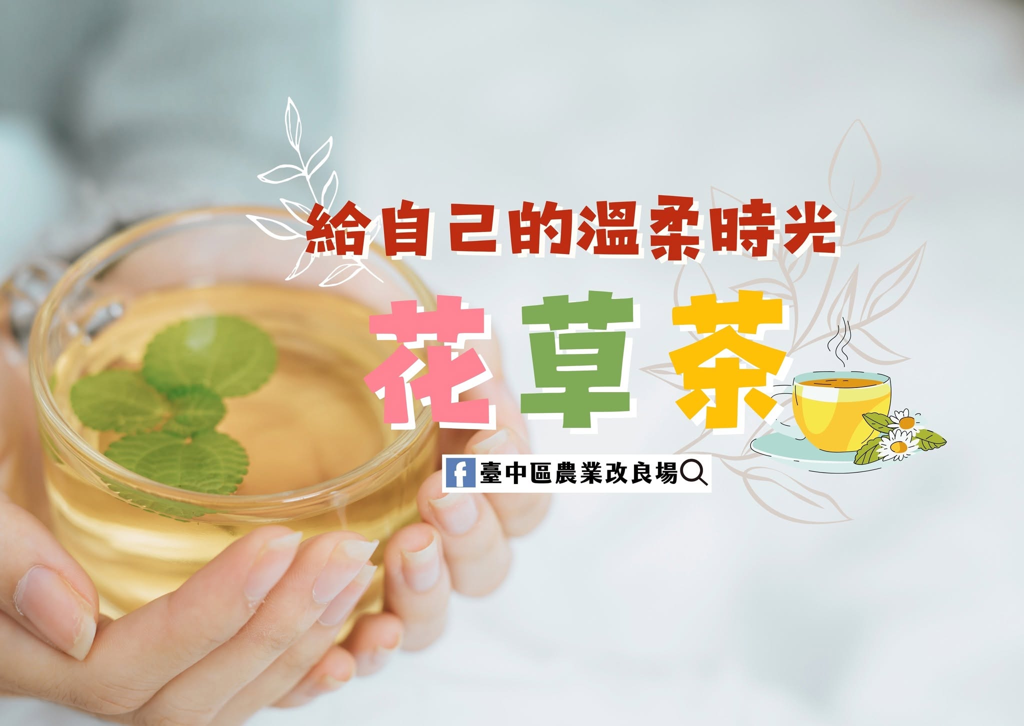06月15日 給自己的溫柔時光「花草茶」