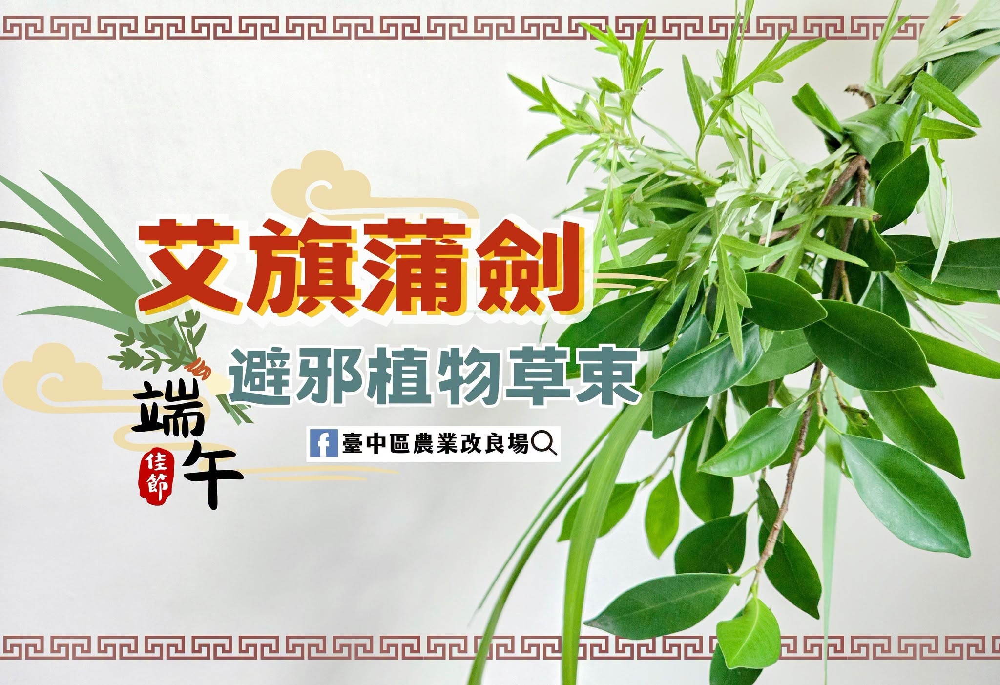 06月19日 端午掛草束 祈福又避邪