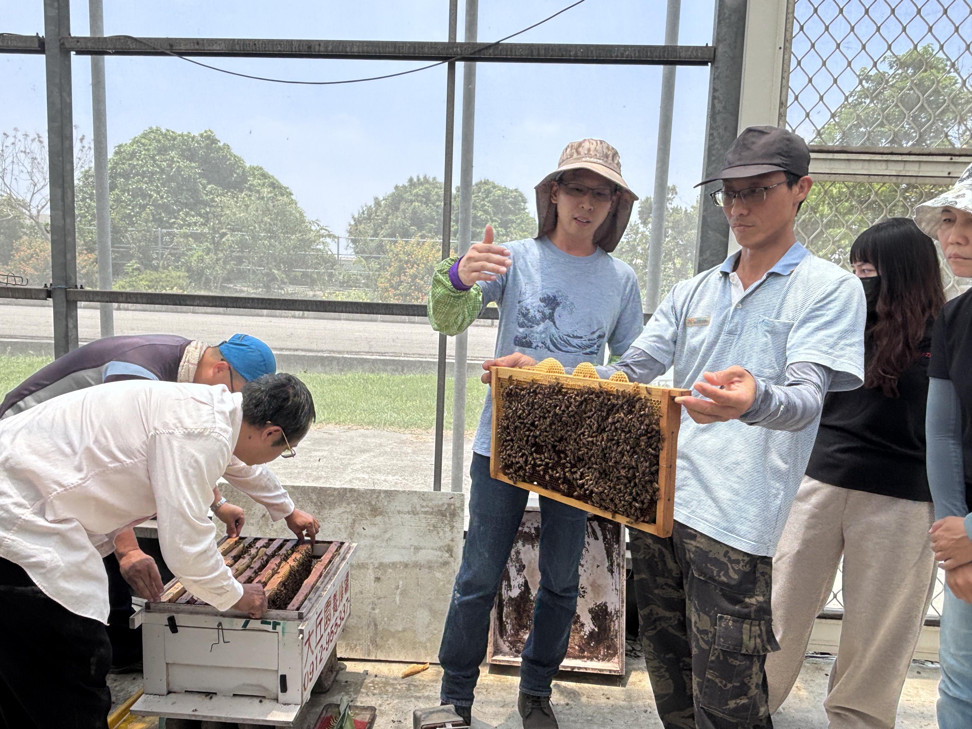 學員學習溫室授粉蜂管理方法。