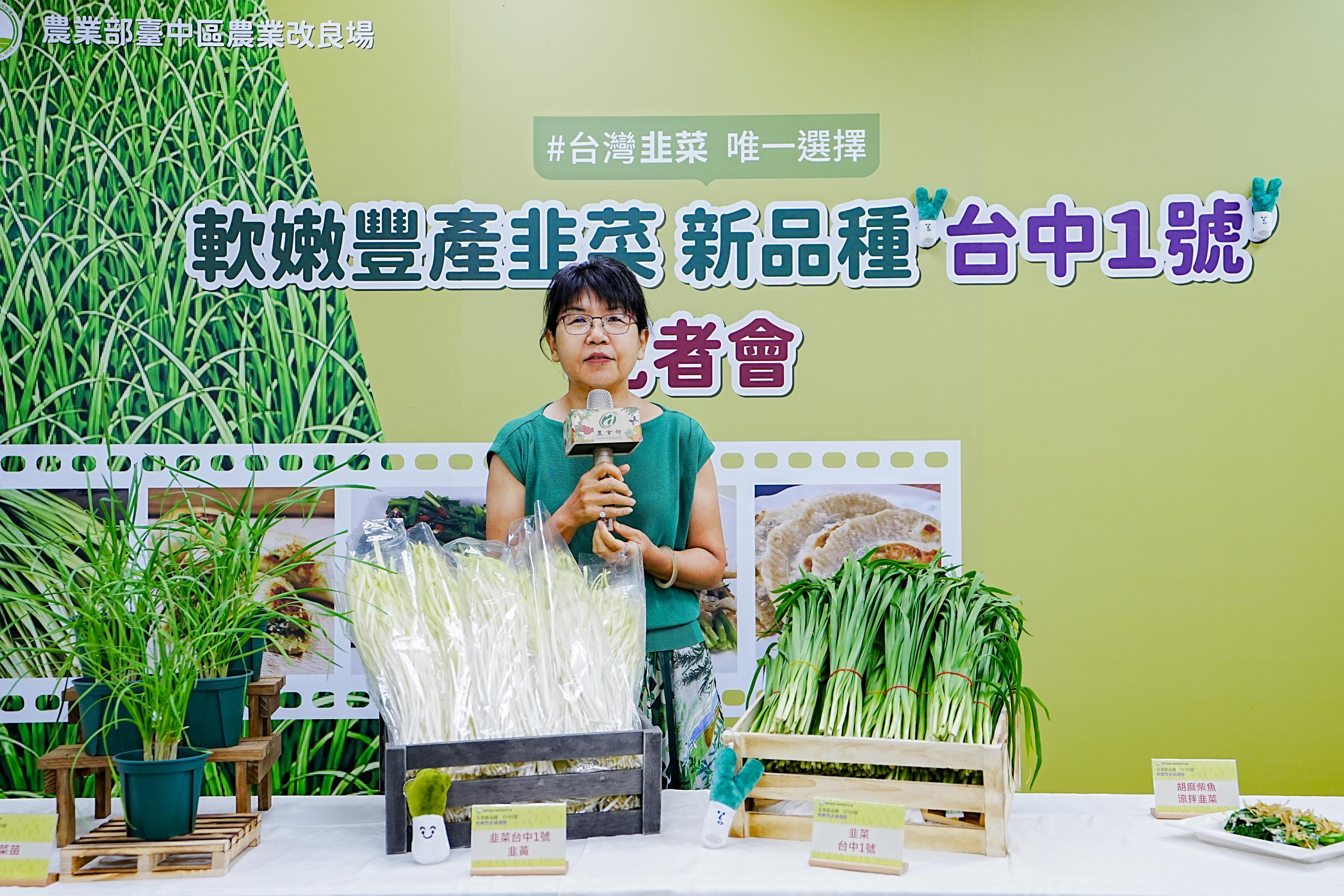臺中農改場楊宏瑛場長說明臺中農改場育成韭菜新品種‘台中1號’。
