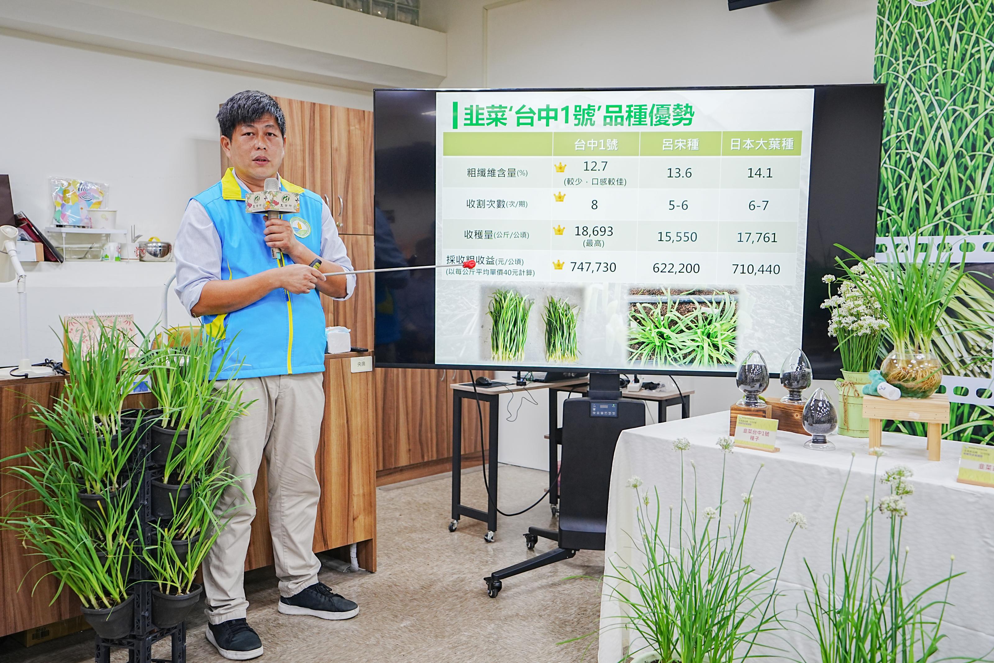 臺中農改場藍玄錦副研究員說明‘台中1號’特點及優勢。
