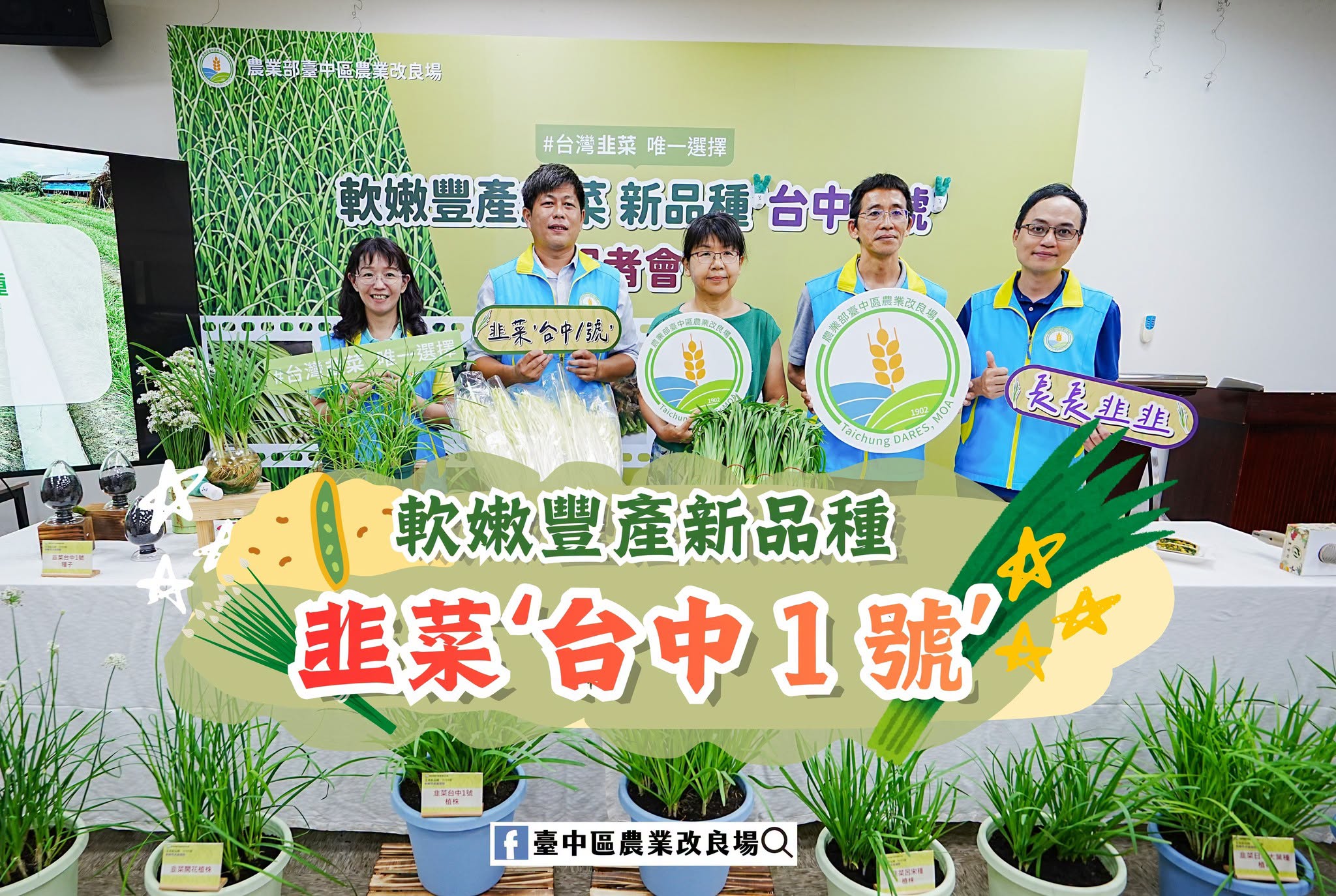 07月14日 軟嫩豐產 韭菜新品種‘台中1號’登場