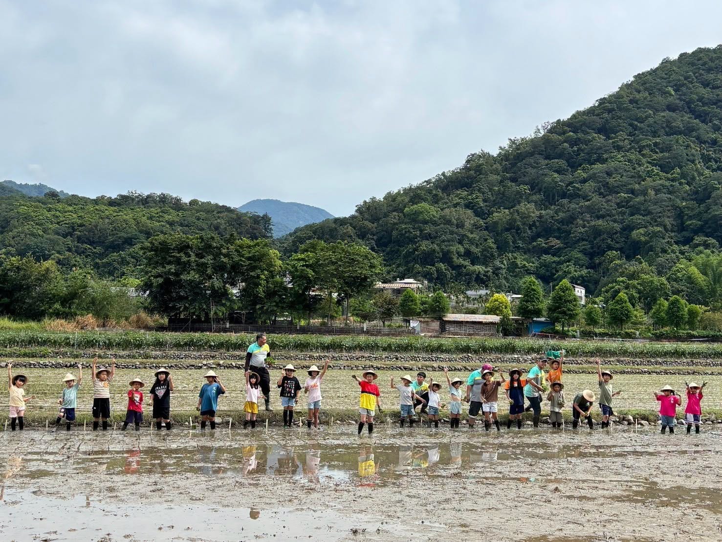 清流部落川中米友善栽培與水田生態保育專案－川中米自己種學童插秧體驗活動-4