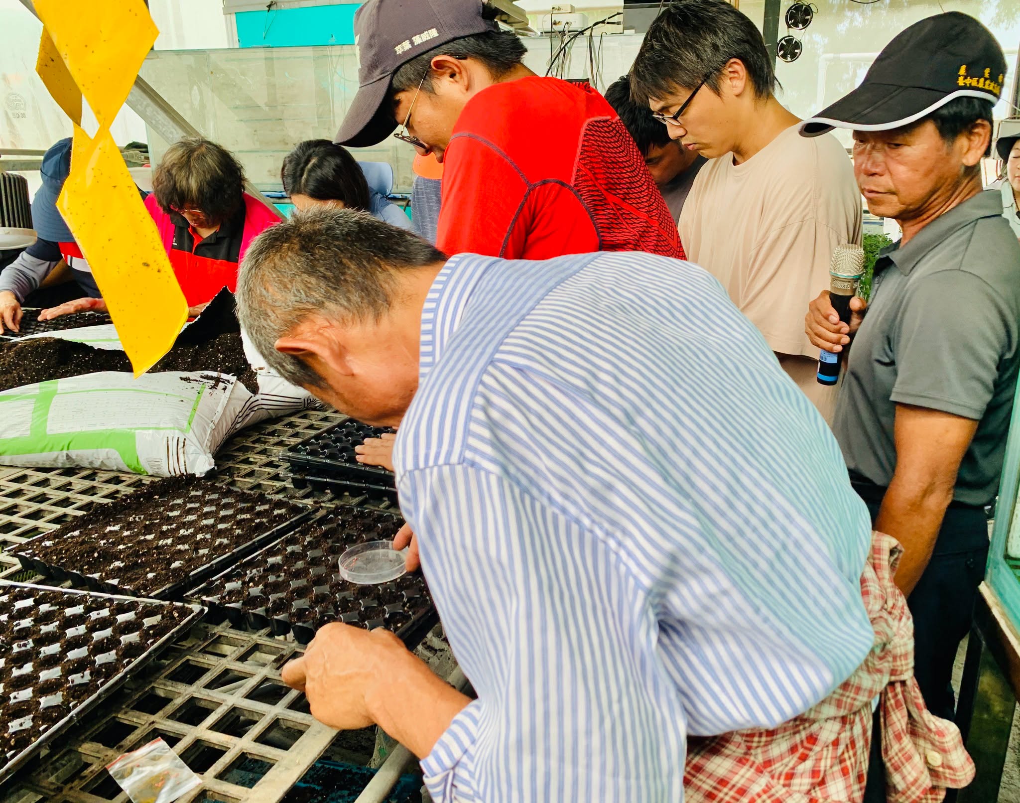 助教手把手教學穴盤育苗操作技巧。
