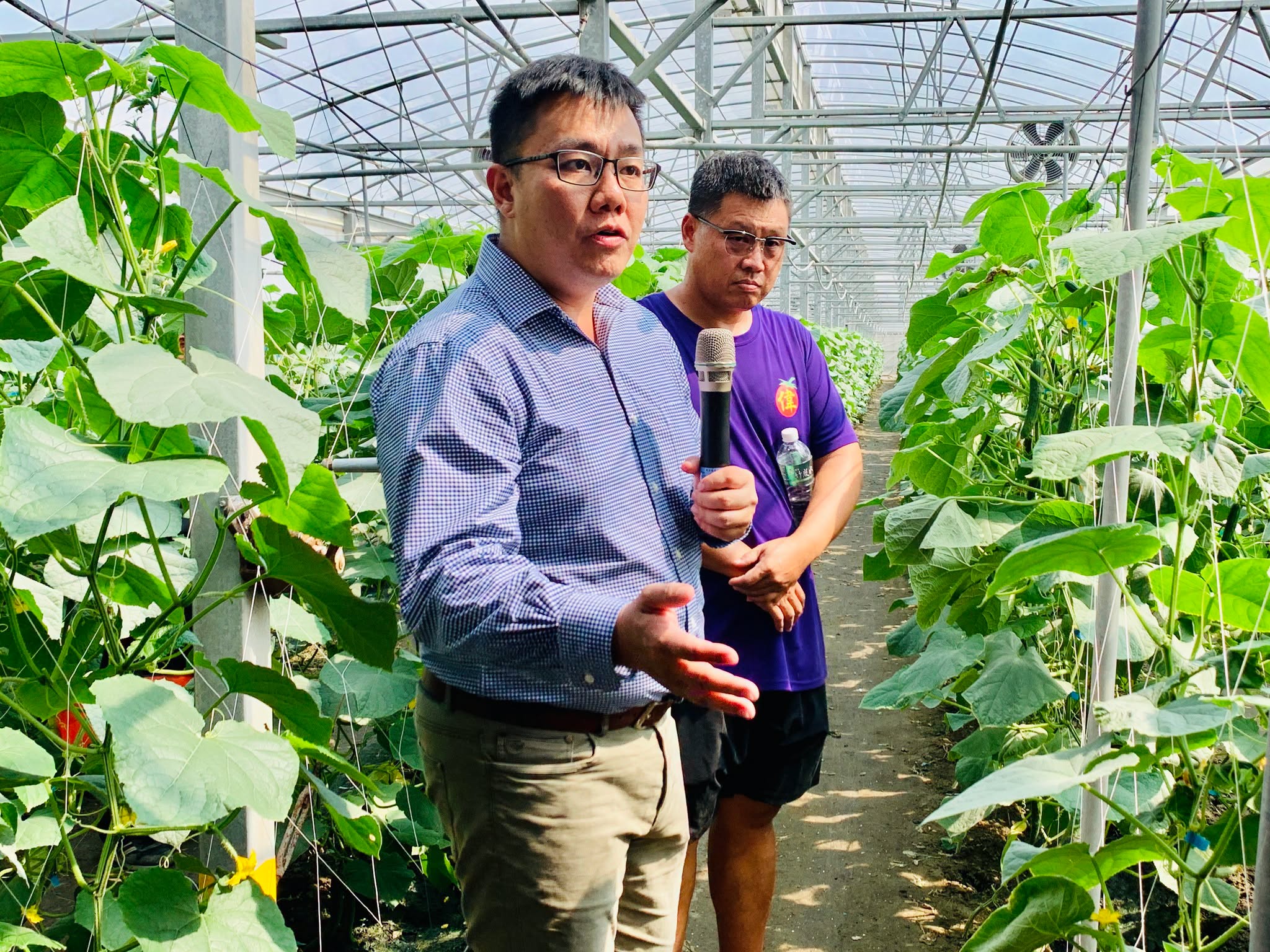 林煜恒副研究員講解蕃茄、花胡瓜整枝方法與栽培管理技巧。