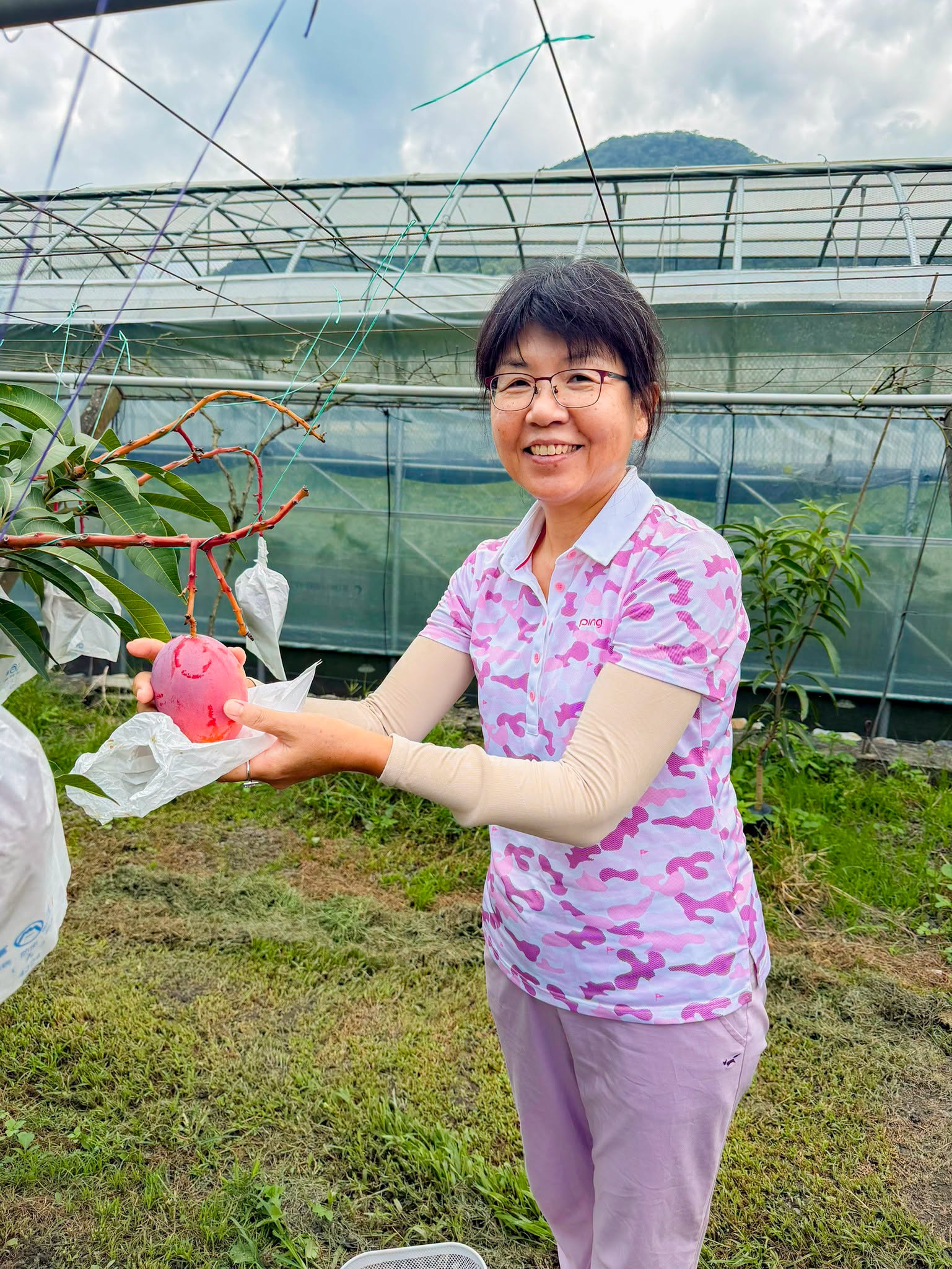 2026信義在欉紅芒果食農教育推廣活動-3