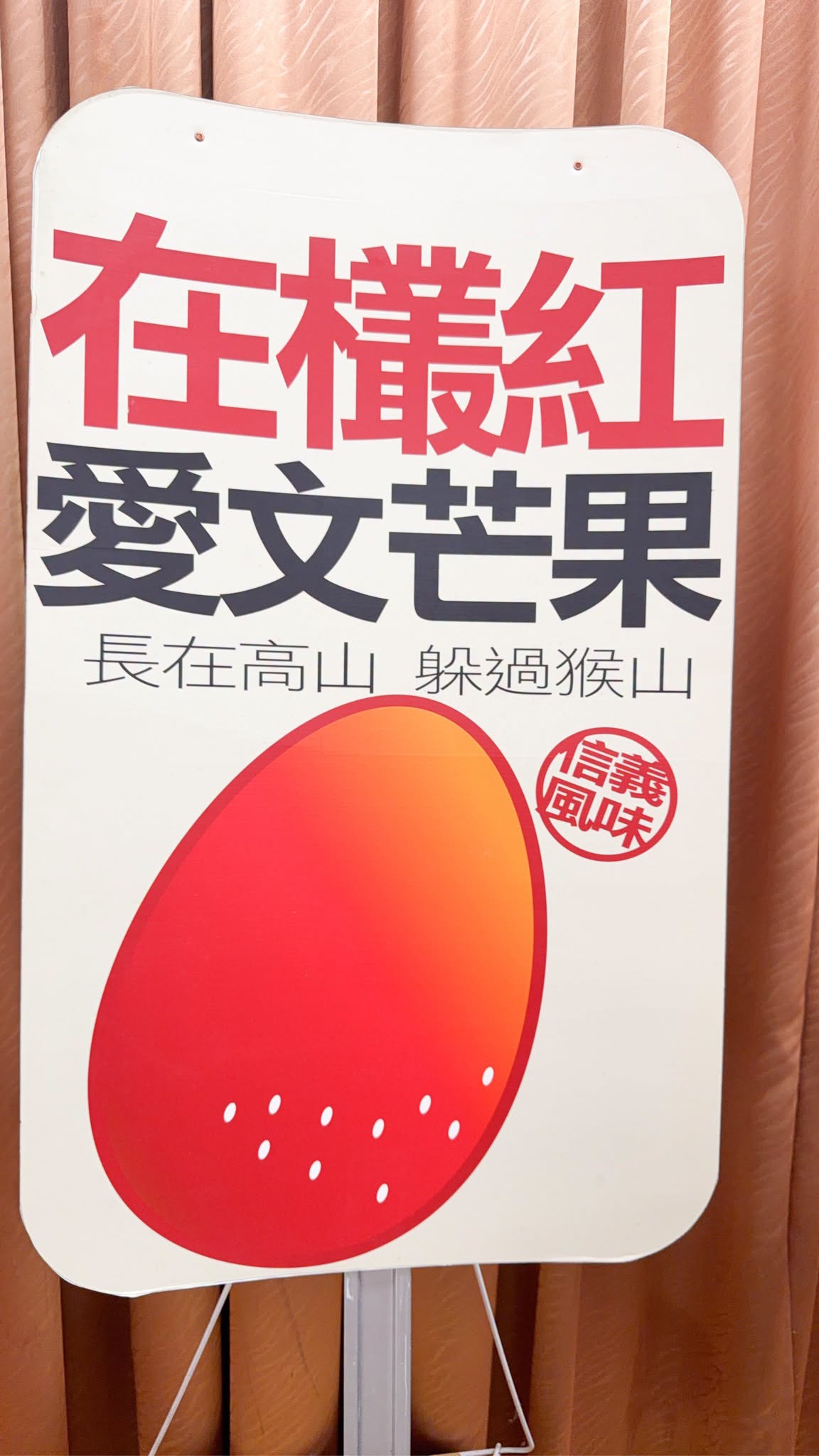 2026信義在欉紅芒果食農教育推廣活動-5