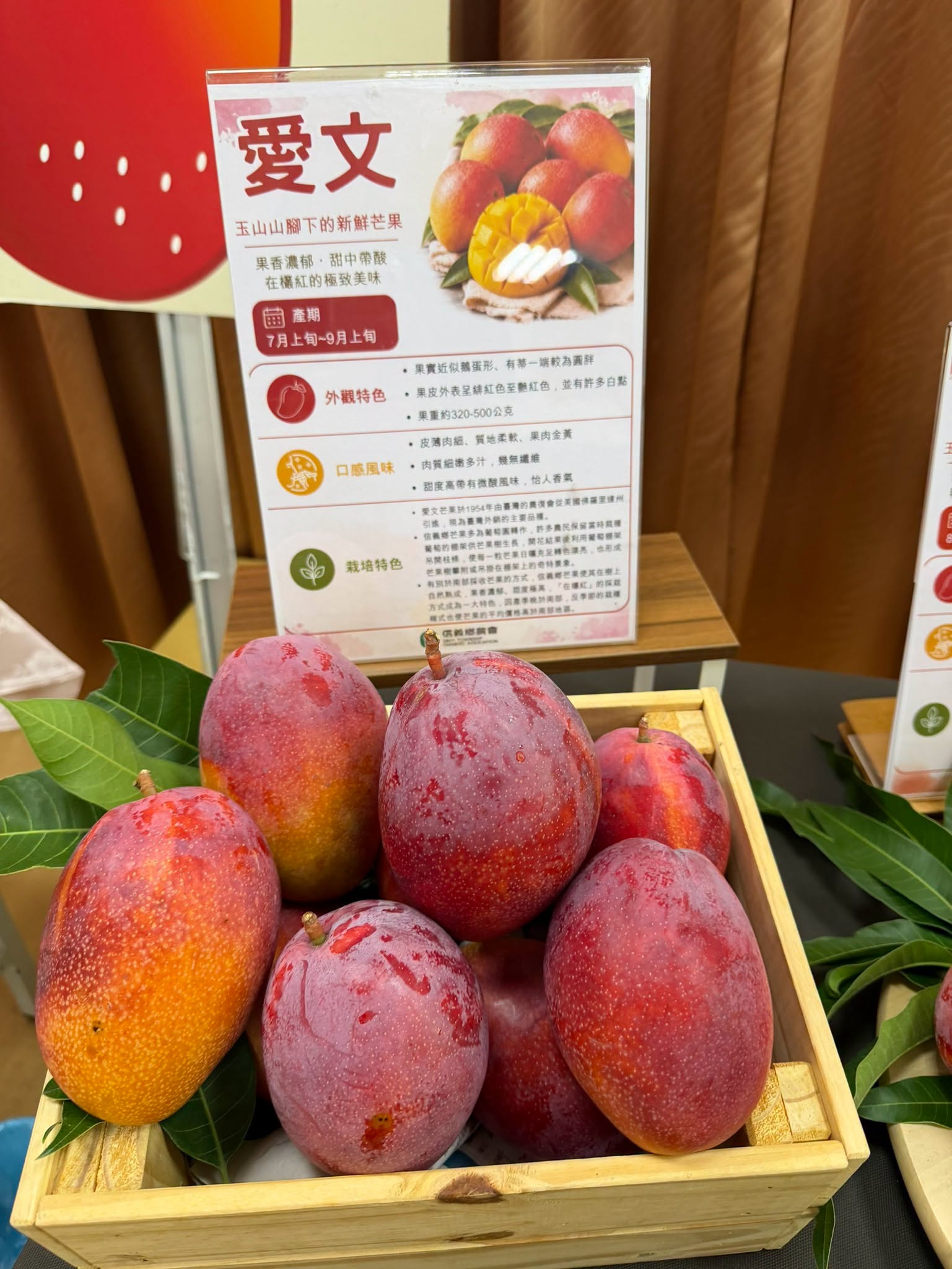 2026信義在欉紅芒果食農教育推廣活動-8