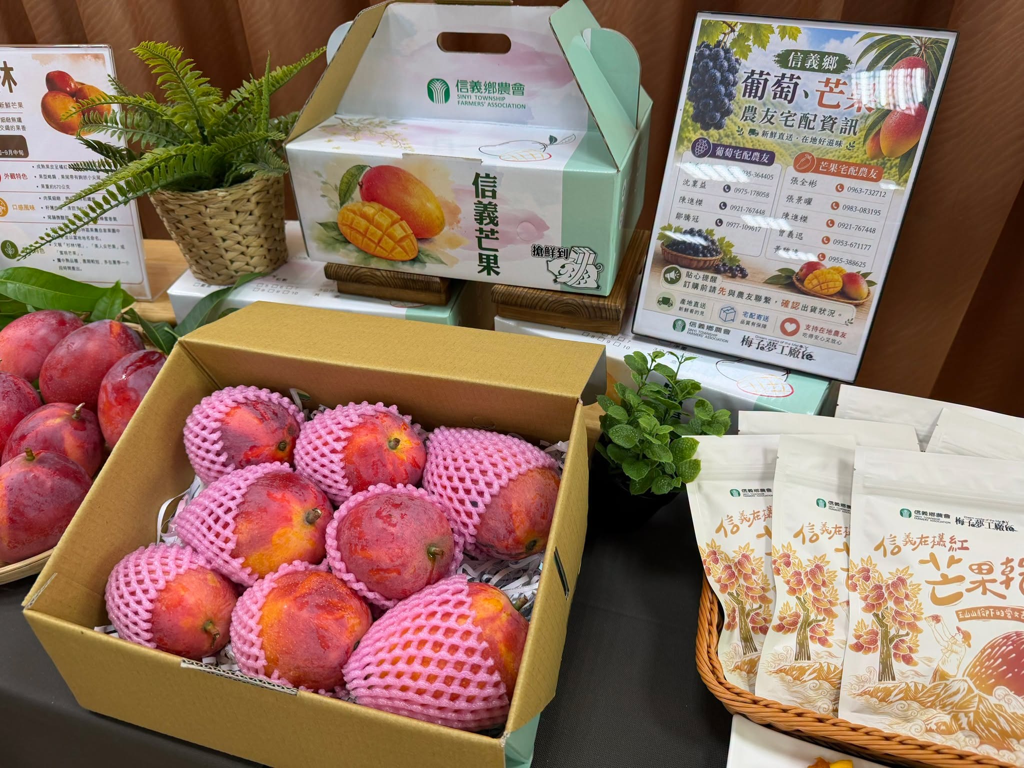 2026信義在欉紅芒果食農教育推廣活動-12
