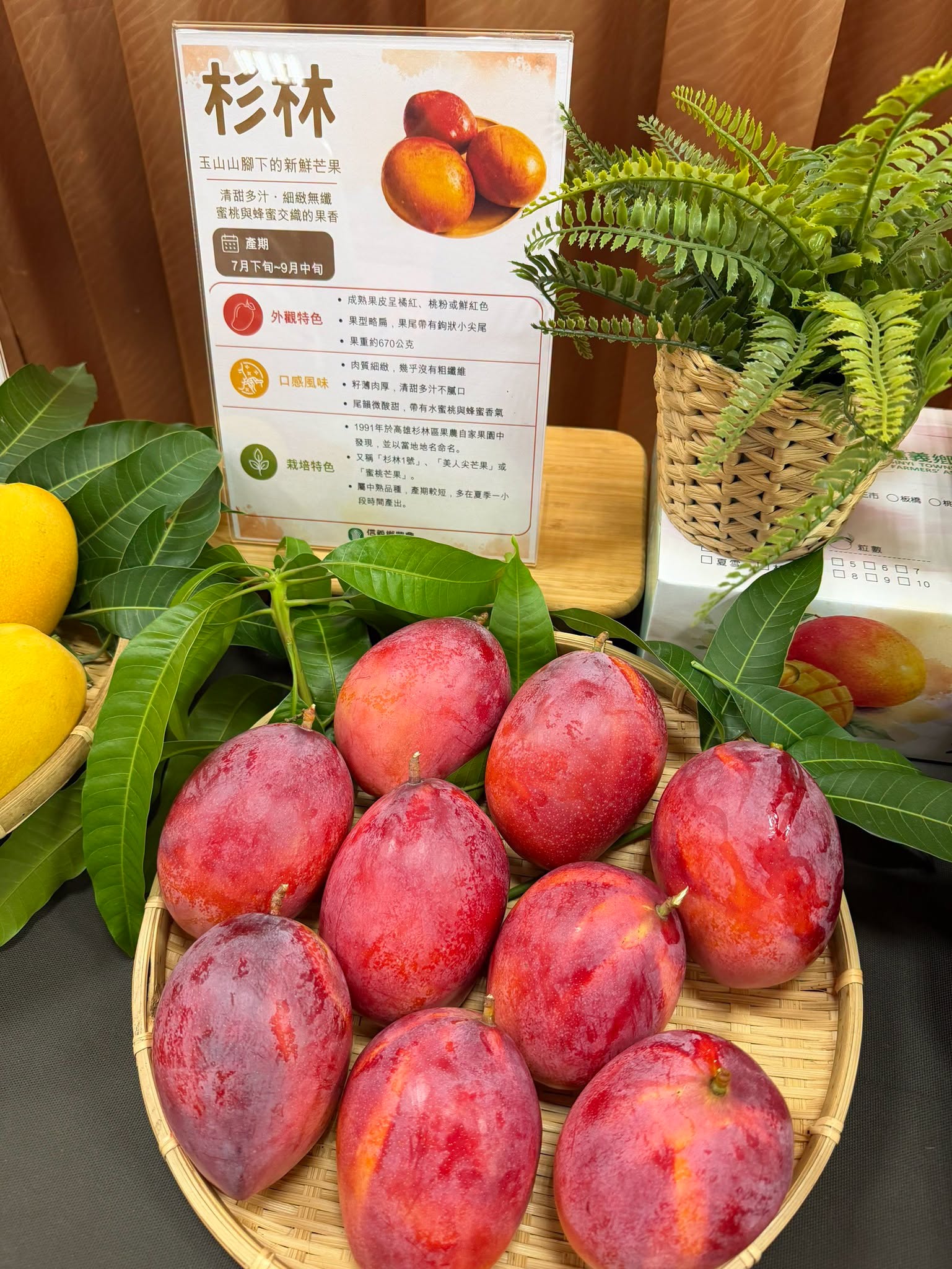 2026信義在欉紅芒果食農教育推廣活動-14