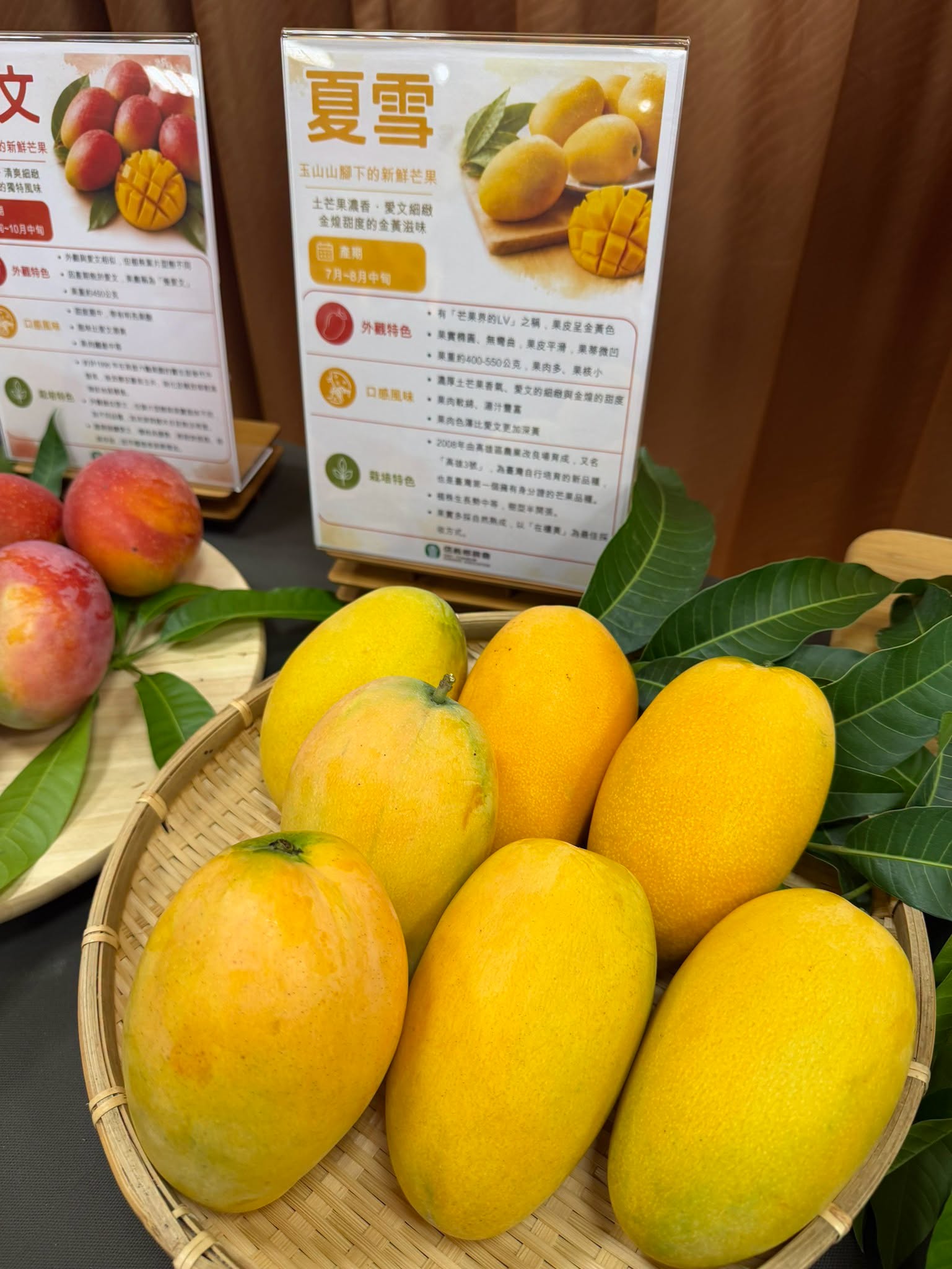 2026信義在欉紅芒果食農教育推廣活動-15