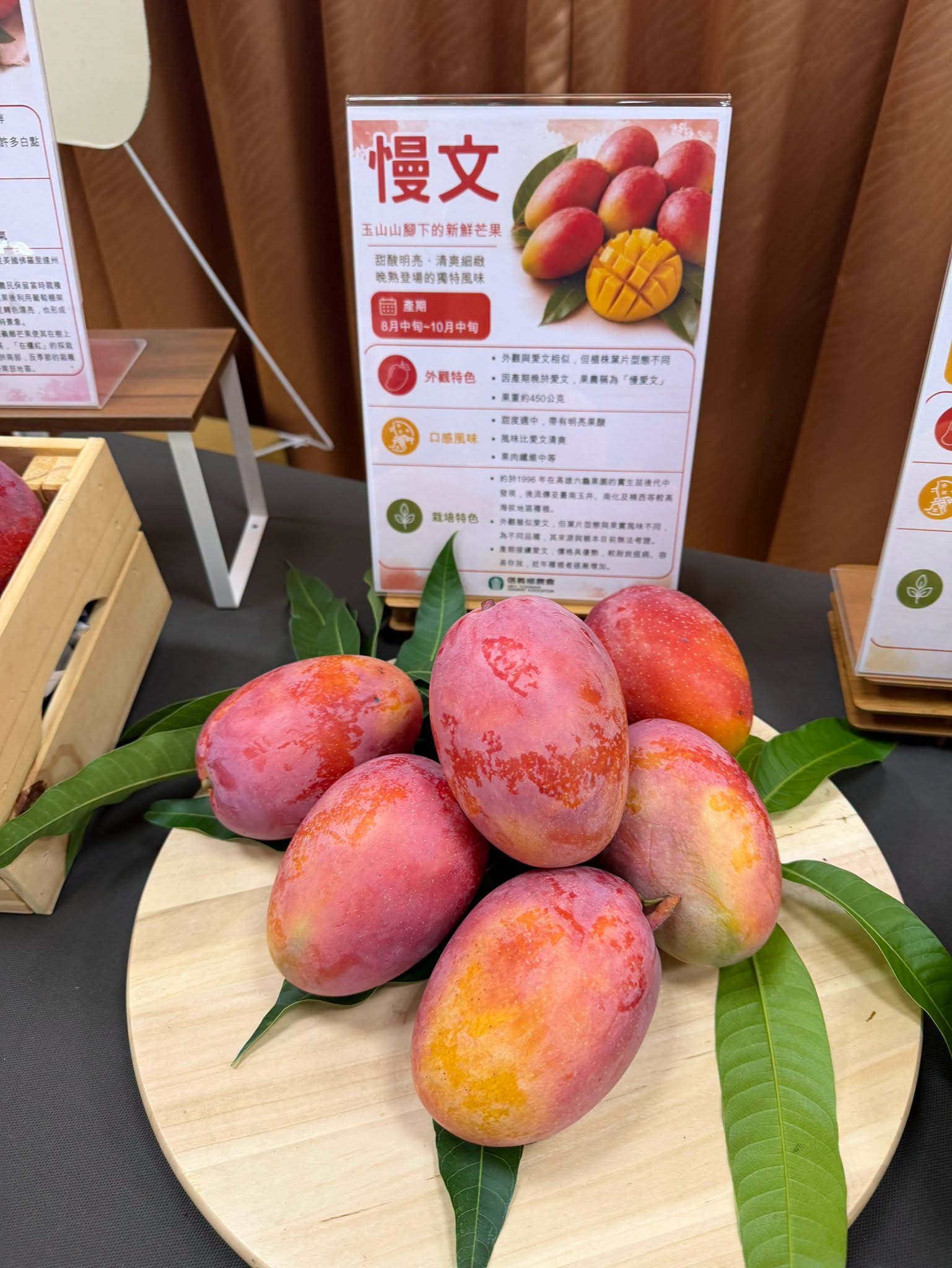 2026信義在欉紅芒果食農教育推廣活動-16