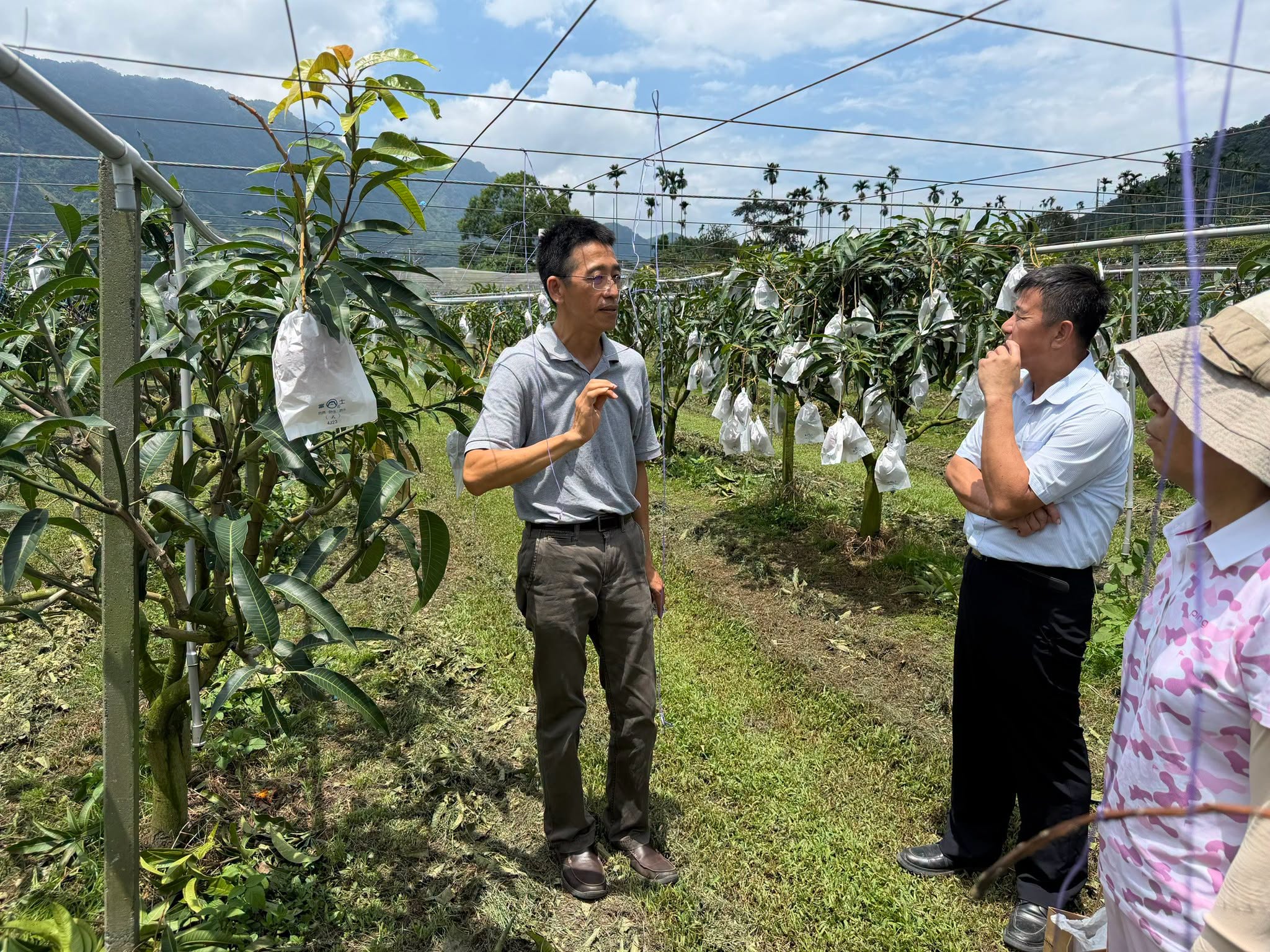 2026信義在欉紅芒果食農教育推廣活動-18