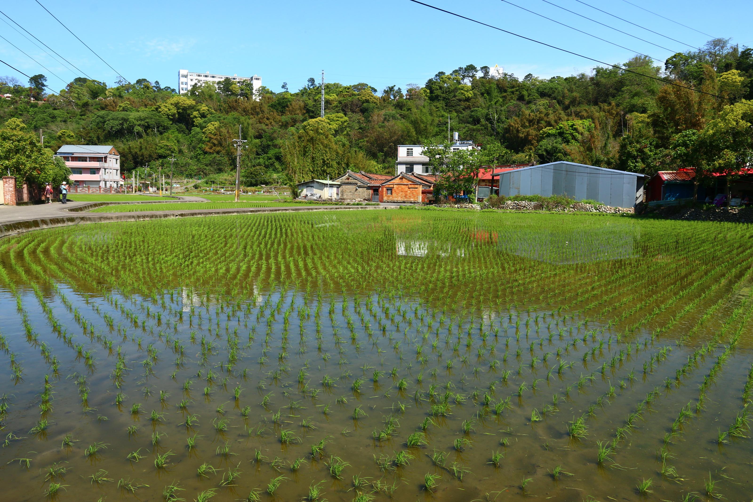 兒歌中的農村地貌