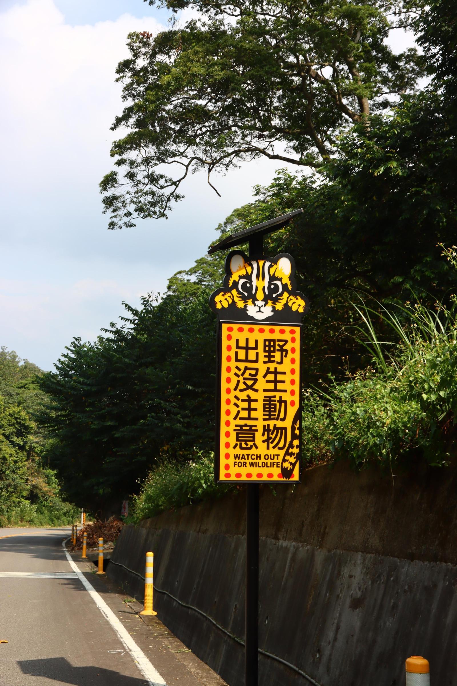 在石虎出沒頻繁的路上設置警告標誌，提醒用路人放低車速，降低石虎被路殺的機率。