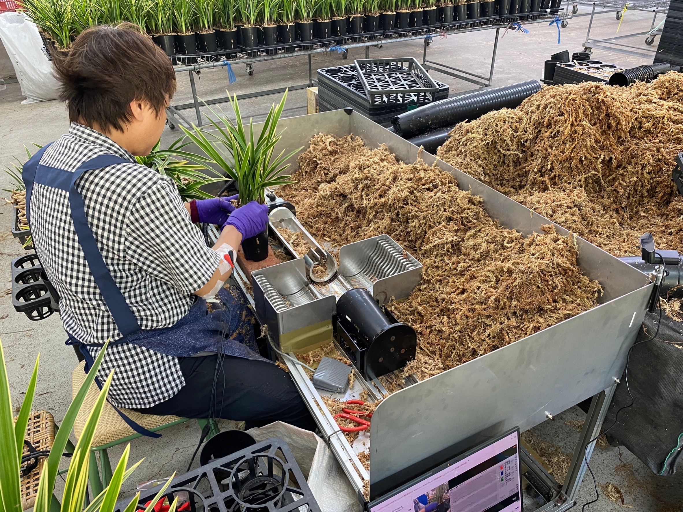 植物裝盆機