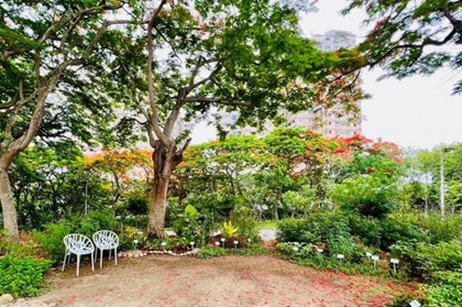 1臺中農改場開發園藝療育花園套組,能打造感官喚醒的景觀環境。