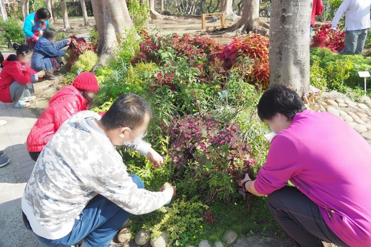 2園藝療育花園套組景觀效果好,容易維護,更適合動動手增進感官刺激。