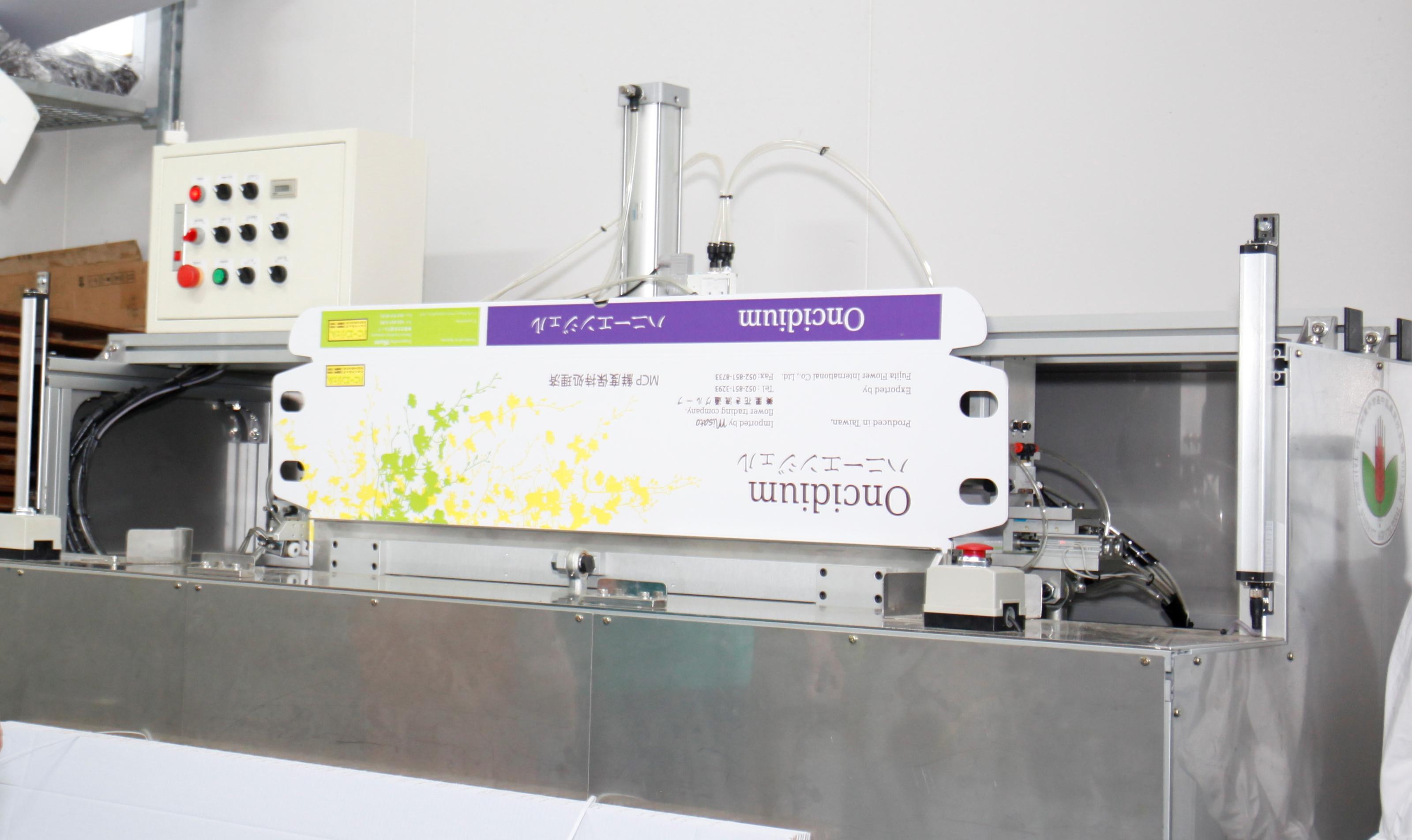 Flat box folding machine for orchid (2020)