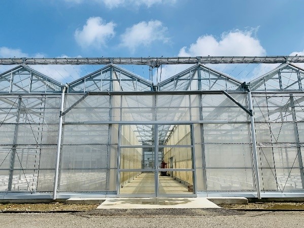 Vegetable mountain-shaped greenhouse construction