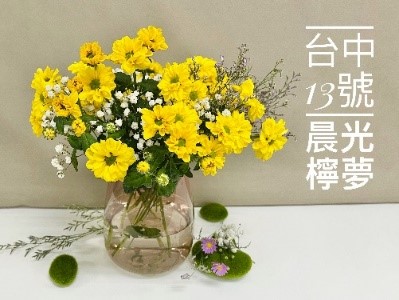 ‘Taichung No. 13-Dawnlight Lemon’