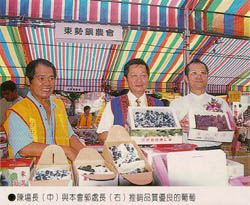 陳場長(中)與本會郭處長(右)推銷品質優良的葡萄