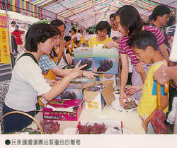民眾踴躍選購品質優良的葡萄