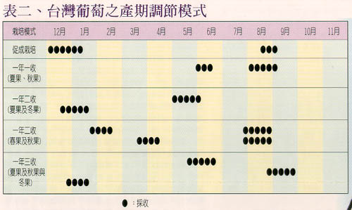 表二、台灣葡萄之產期調節模式