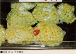 美國超市之智利葡萄
