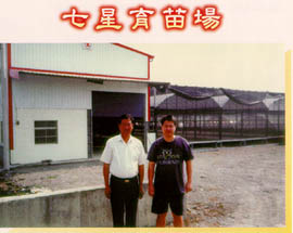 七星育苗場