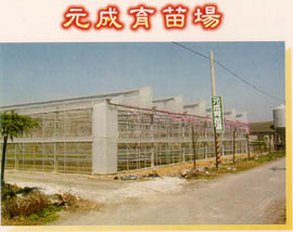 元成育苗場
