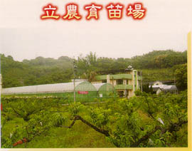 立農育苗場