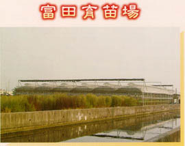 富田育苗場