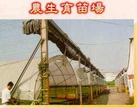 農生育苗場
