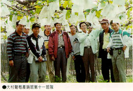 大村葡萄產銷班第十一班隊