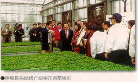 陳場長為總統介紹菊花育苗情形
